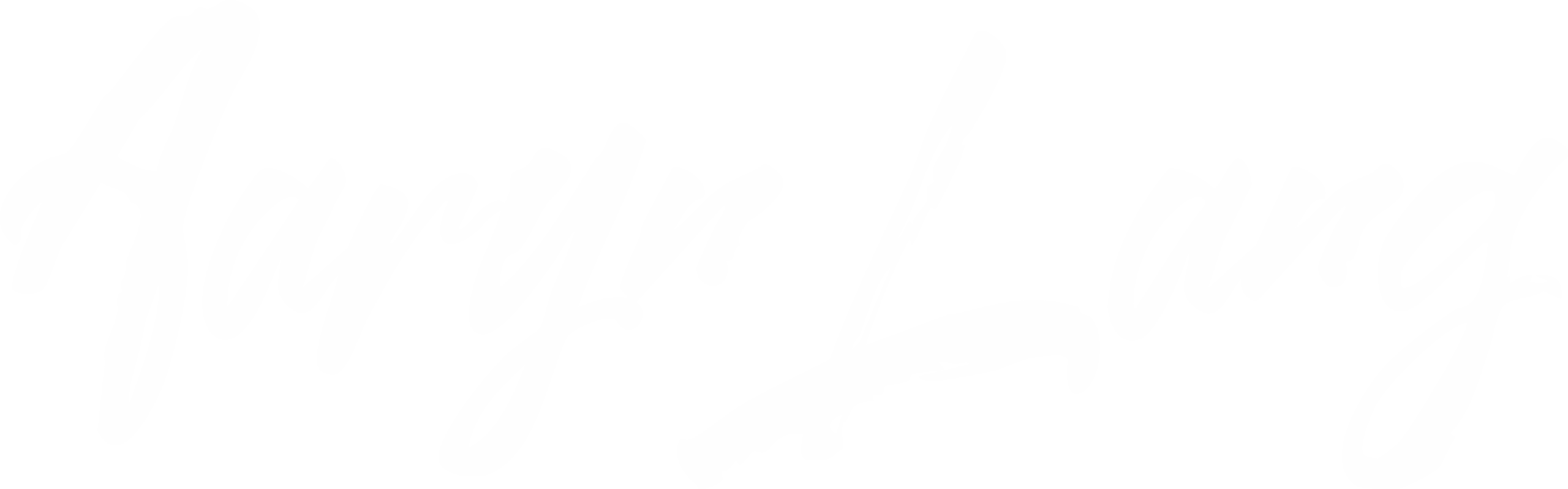 White handwritten script spelling "Aaryn Lang" on a light gray background.